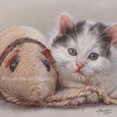 Truce - 29 hours
Dark Grey Pastelmat
10.5" x 15"
Best Domestic Animal 
Regional UKCPS 2015